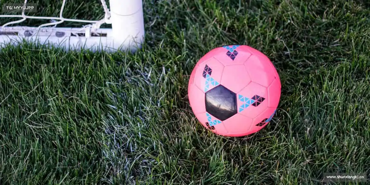 我们的品牌价值